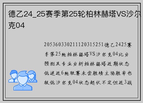 德乙24_25赛季第25轮柏林赫塔VS沙尔克04